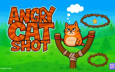 Angry Cat Shot