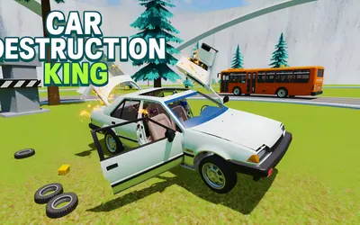 Car Destruction King